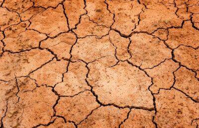 Глобальный ущерб от засухи в первой половине 2022 года достиг $13,2 млрд – СМИ