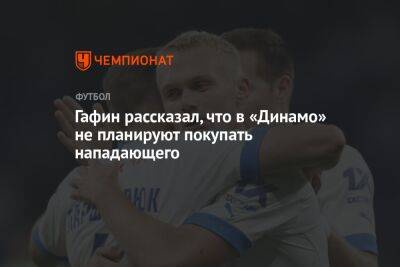 Гафин рассказал, что в «Динамо» не планируют покупать нападающего