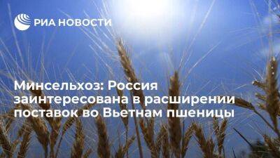 Левин заявил, что Россия заинтересована в расширении поставок во Вьетнам пшеницы