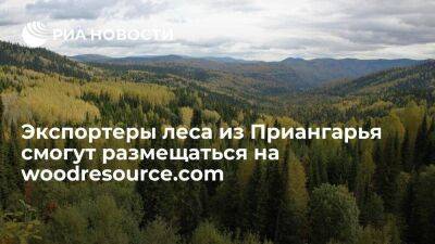 Экспортеры леса из Приангарья смогут размещаться на площадке woodresource.com