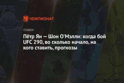 Пётр Ян — Шон О'Мэлли: когда бой UFC 290, во сколько начало, на кого ставить, прогнозы
