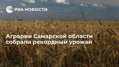 Аграрии Самарской области собрали рекордный урожай благодаря мерам поддержки