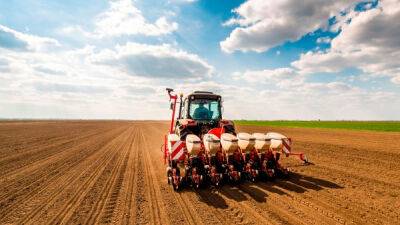 Сівба озимих зернових стартувала у семи областях України