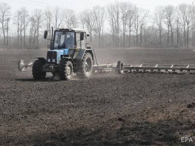 В Украине началась посевная озимых зерновых. В семи областях сеют пшеницу, жито и ячмень