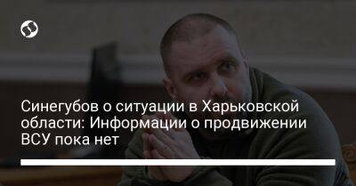 Синегубов о ситуации в Харьковской области: Информации о продвижении ВСУ пока нет