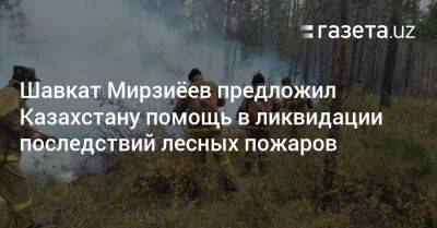 Шавкат Мирзиёев предложил Казахстану помощь в ликвидации последствий лесных пожаров