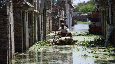 Наводнение в Пакистане: рекордные дожди угрожают археологическому памятнику возрастом 4500 лет