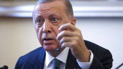 Балканское турне Эрдогана - ru.euronews.com - Турция - Босния и Герцеговина - Сараево