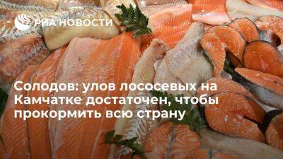 Губернатор Солодов: улов красной рыбы на Камчатке достаточен, чтобы прокормить всю страну