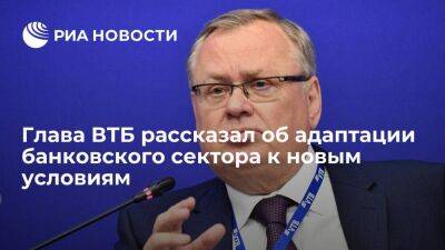 Глава ВТБ Костин: адаптация банковского сектора к новым условиям будет идти не один год