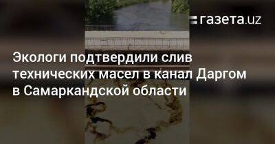 Экологи подтвердили слив технических масел в канал Даргом в Самаркандской области