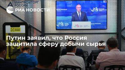 Путин: Россия защитила сферу добычи сырья от действий недружественных стран