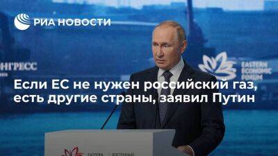 Путин: если Европе не нужны преимущества по дешевому газу из России, есть другие страны