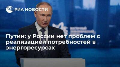 Путин заявил, что у России нет проблем с реализацией мировых потребностей в энергоресурсах