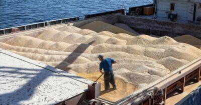 "Шантаж Запада для снятия санкций": ОП об угрозах Путина ограничить вывоз зерна из Украины