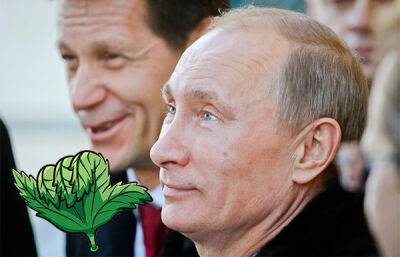 Путін хоче обмеження вивезення зерна з України: каже, що його «надули»