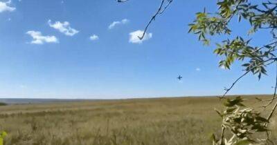 ВСУ под Балаклеей сбили российский Су-25 (видео)