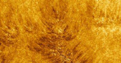 Потрясающие новые изображения показывают Солнце таким, каким мы его раньше не видели (фото)
