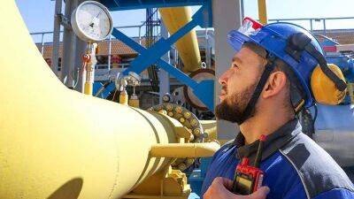 В ЕК допустили быстрое введение потолка цен на газ РФ при согласии членов ЕС