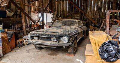 Очень редкий и дорогой Ford Mustang 30 лет простоял заброшенным в старом сарае (фото)