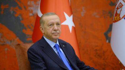 Эрдоган обвинил Запад в "провокациях" и призвал "не недооценивать Россию"