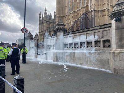 Активисты облили здание парламента белой краской в знак протеста
