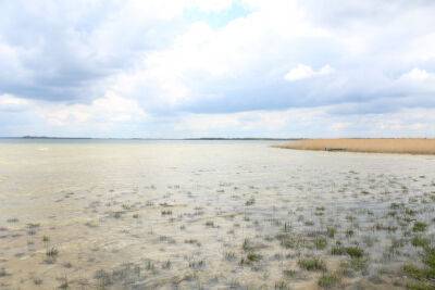 На Одещині почали пересихати заповідні озера (фото)