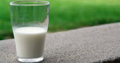С полок сербских магазинов пропало молоко