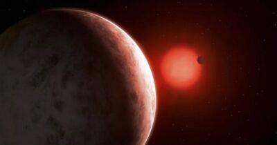 Астрономы обнаружили две новые супер-Земли возле очень холодной звезды: чем они уникальны