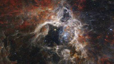 "Джеймс Уэбб" увидел тысячи молодых звёзд в туманности Тарантул