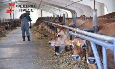 Омские власти ищут способ, как помочь мясомолочным фермам из-за нехватки кормов