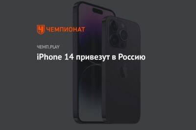 Айфон 14 привезут в Россию