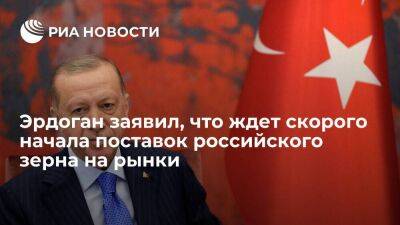 Эрдоган: Анкара хочет, чтобы поставки российского зерна начались как можно скорее