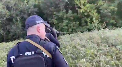 На поиски отца с 8-месячным сыном бросили все подразделения полиции Киевщины: обследовали поля и заброшенные постройки