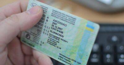 Украинцы уже могут обменять водительские права в Польше: что для этого необходимо