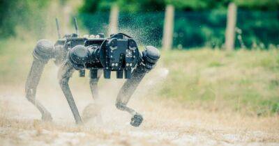 Глаза и лапы армии: военные испытывают боевого робота-собаку Ghost V60