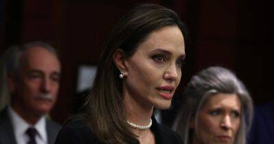 Анжелина Джоли подала новый иск против Брэда Питта на $250 миллионов