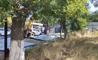Еще один застройщик уничтожил 42 дерева в Ташкенте
