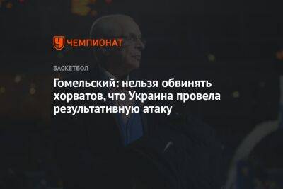 Гомельский: нельзя обвинять хорватов, что Украина провела результативную атаку