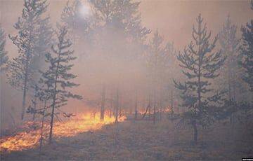 Белорусские лесники тушат пожар на границе с Украиной