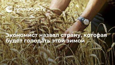 Экономист Клопенко: Украина рискует столкнуться с голодом зимой из-за "продуктовой сделки"
