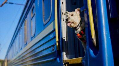 Из Донбасса во Львов 9 сентября отправится эвакуационный поезд