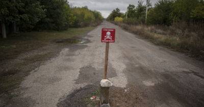 Будут взрывать российские мины: в Киевской области будут слышны взрывы