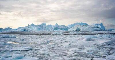 Земля находится на грани нескольких климатических катастроф: что говорят ученые - focus.ua - Украина - Антарктида - Гренландия