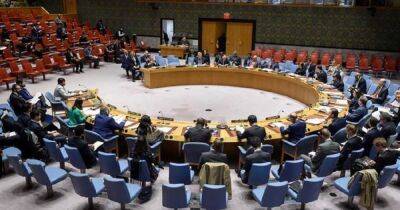 Совет безопасности ООН. Как выгнать оттуда Россию