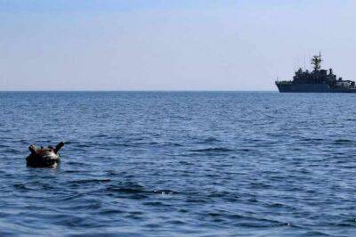 Румынский военный корабль подорвался на мине в Черном море - obzor.lt - Румыния - Болгария - Констанца - Черное Море