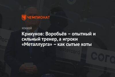 Крикунов: Воробьёв – опытный и сильный тренер, а игроки «Металлурга» – как сытые коты