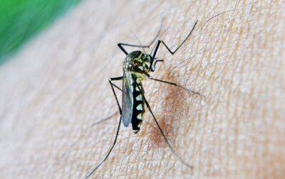 Разработана новая вакцина против малярии