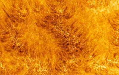 James Webb - Американские астрономы показали самые детализированные фотографии Солнца - rbc.ua - Россия - США - Украина