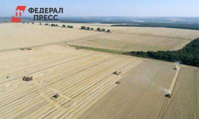 Россия поставит нуждающимся странам 30 млн тонн зерна до конца года